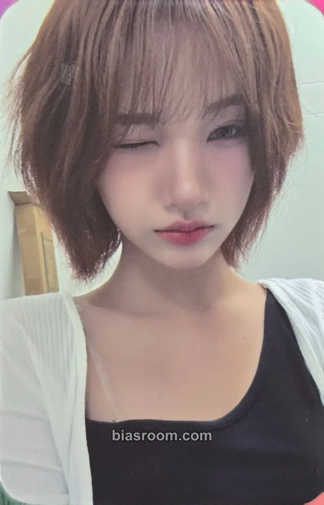 Sasha Photocards (ifeye) | Bias Room