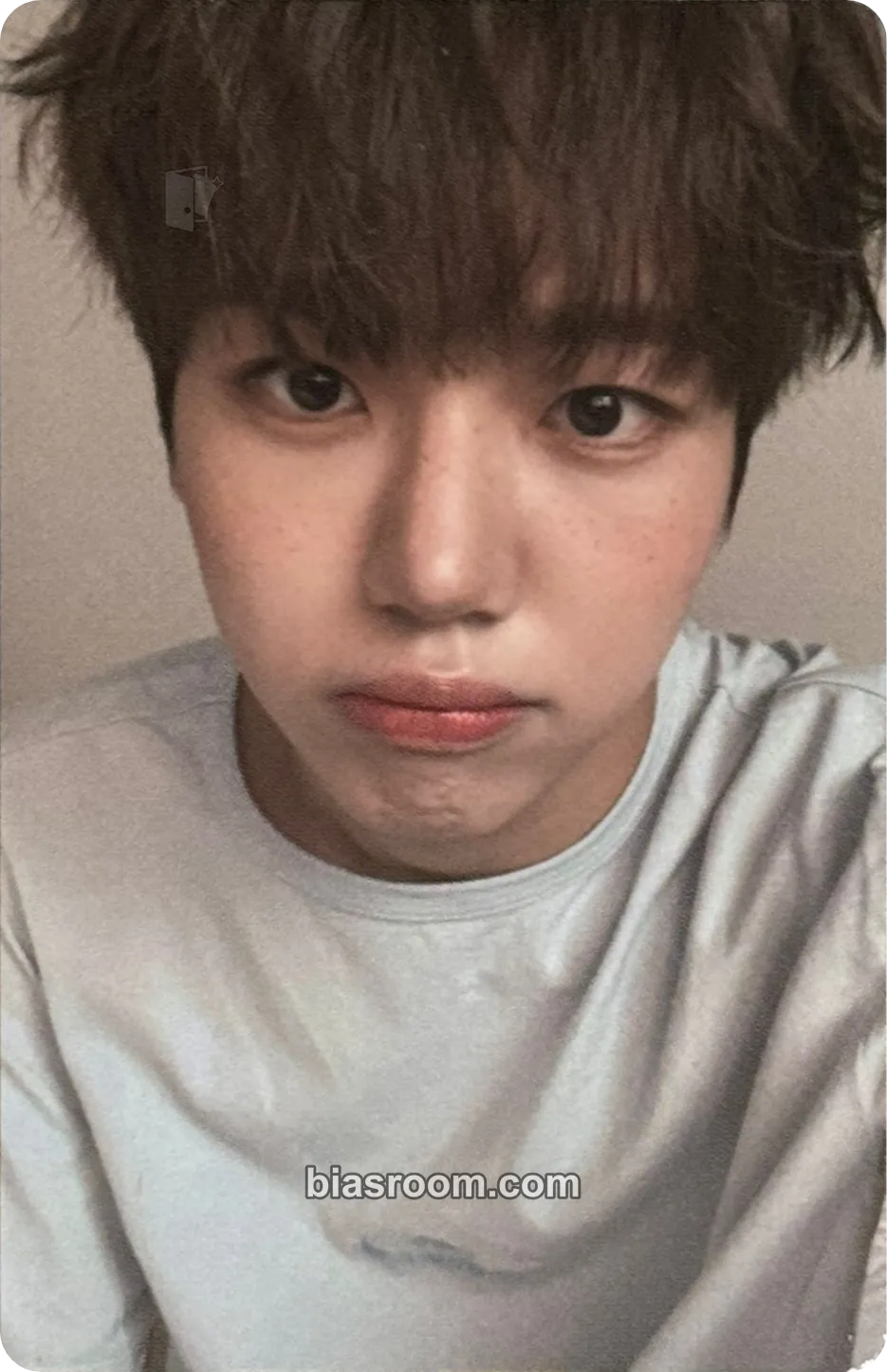Woongki fromm Channel x CHA WOONGKI Photocard - AHOF - AHOF K-pop photocard