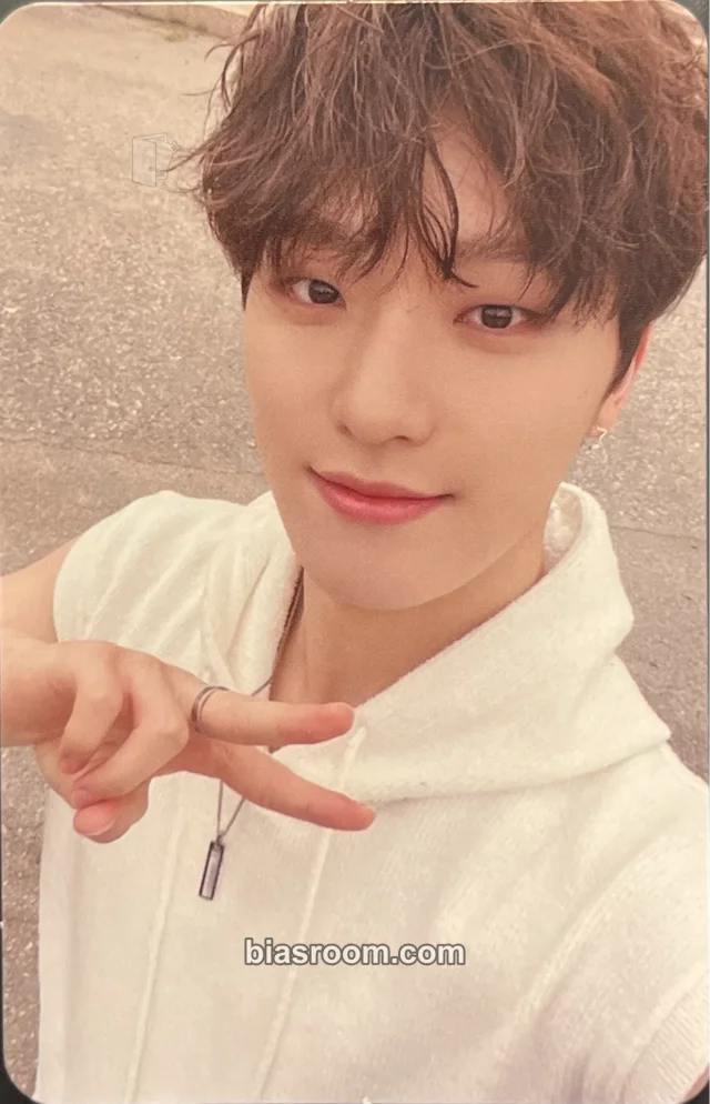 SEVENTEEN - Dino - SECTOR 17 Album withfans / yizhiyu (yzy)