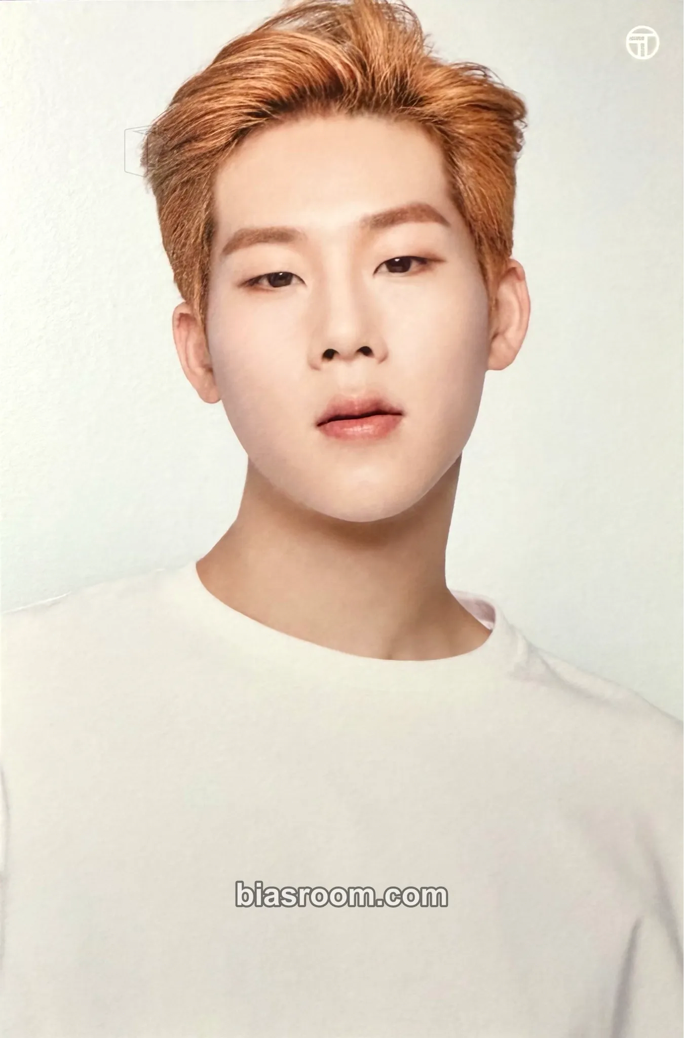 Joohoney Monsta X x Tonymoly Collaboration Photocard - MONSTA X - MONSTA X K-pop photocard