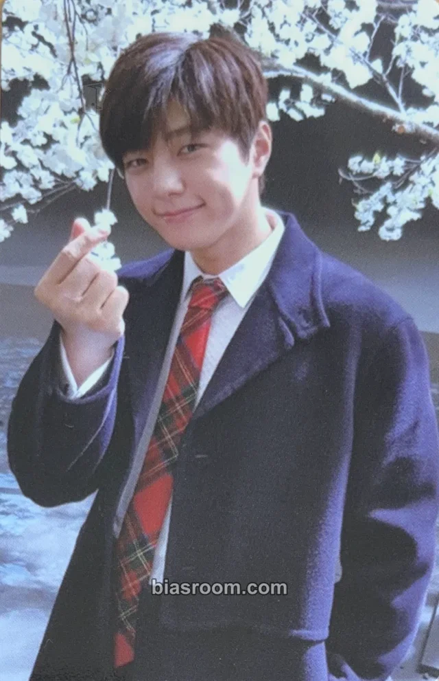 INFINITE - L / Myungsoo - Top Seed Album album photocard