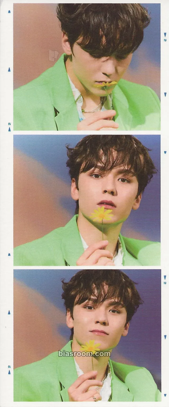 SEVENTEEN - Vernon - SECTOR 17 Album 3 cut photo album inclusion photo strip new beginnings version