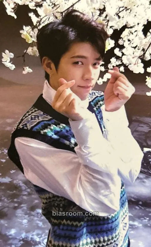 Woohyun Top Seed Photocard - INFINITE - INFINITE K-pop photocard
