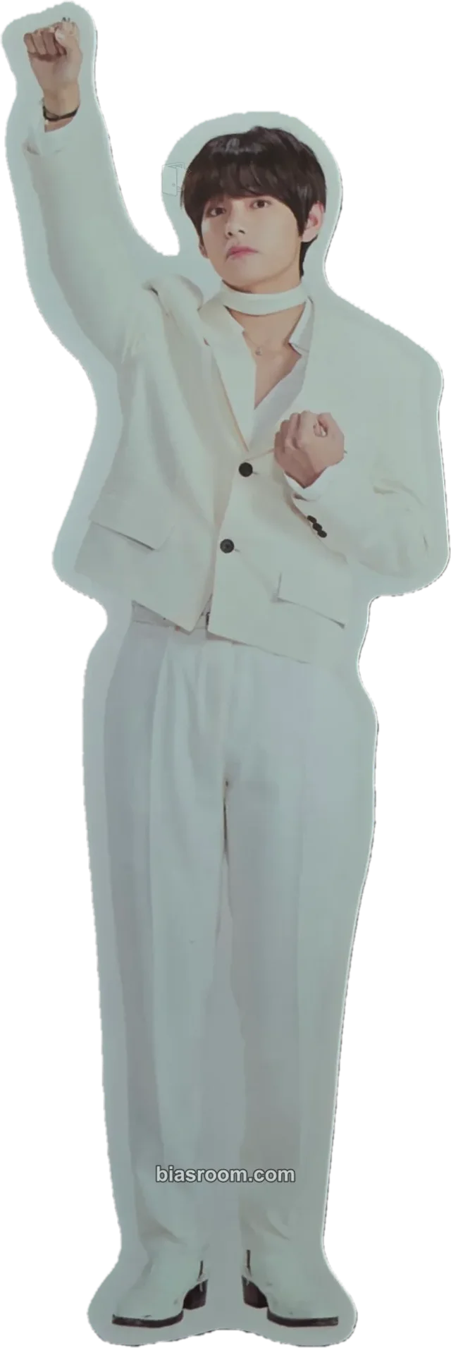BTS - V - Map Of The Soul Tour Event sticker item set