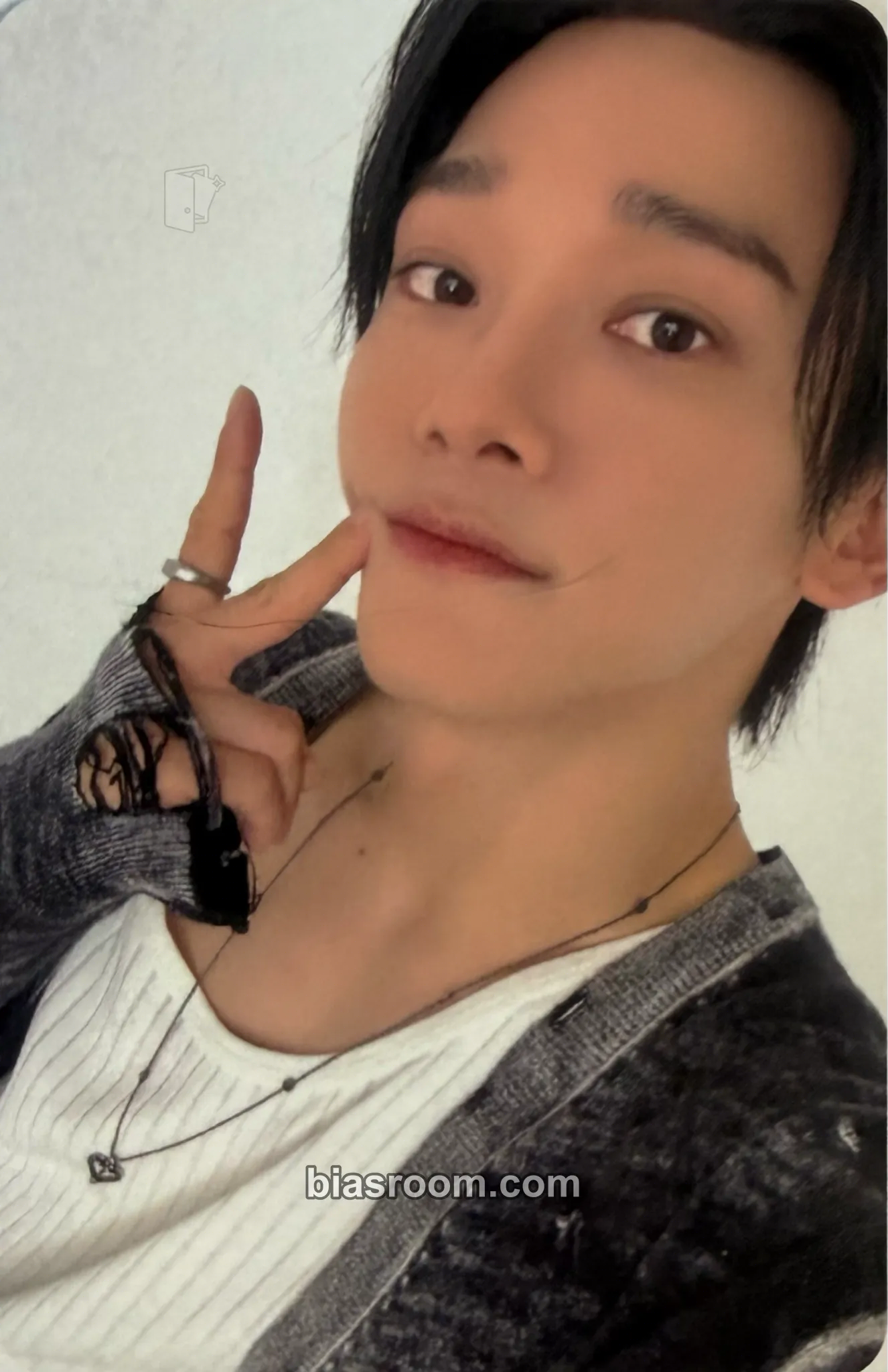 Chen Arcadia Photocard - EXO - EXO K-pop photocard