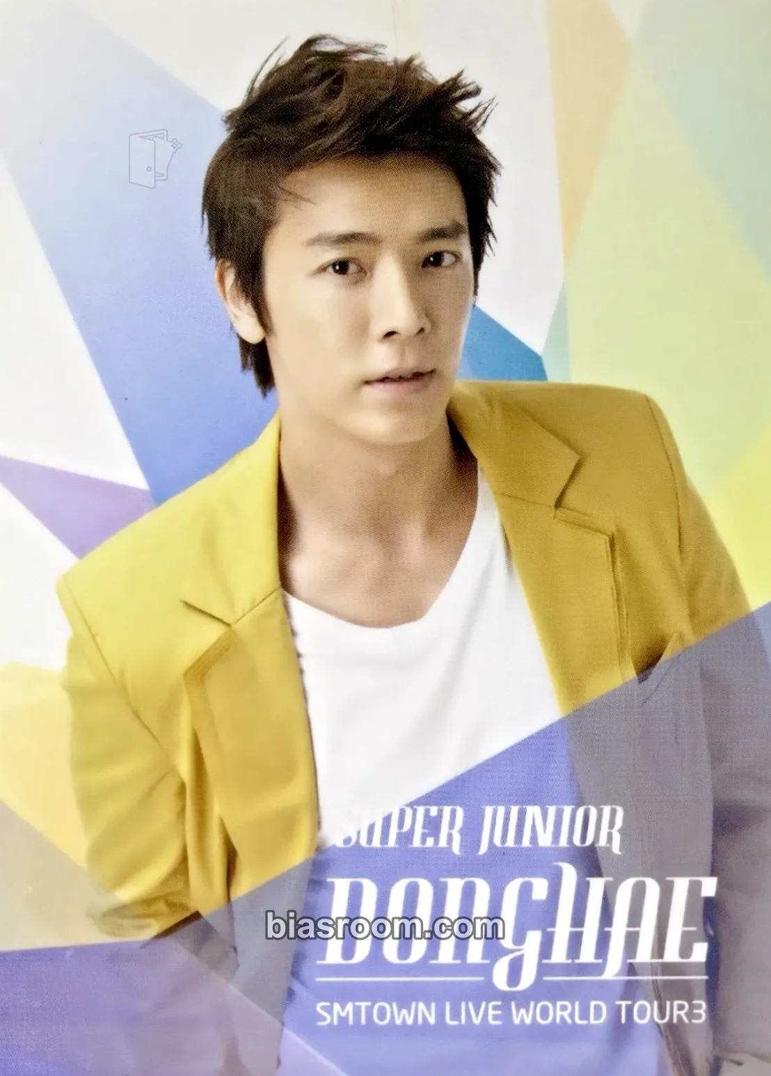 Donghae SMTOWN Live World Tour III Photocard - SUPER JUNIOR | Bias