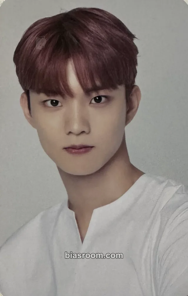 THE BOYZ - Q - CAFÉ POCHA - The Boyz Branch Event merch photocard pop-up