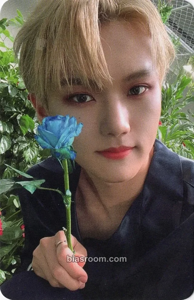 ENOi - Donghyuk (Avin) - W.A.Y (雨) Album album photocard