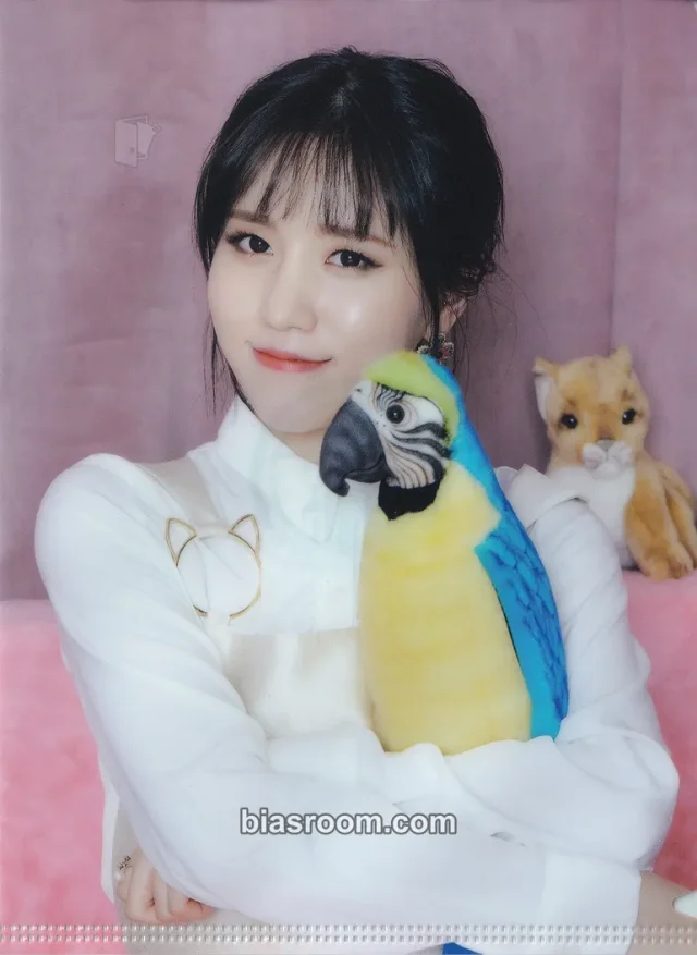 Lovelyz - Jin - Lovelyz in Winterland 2 Event blu-ray version dvd/blu-ray inclusion clear file/l-holder