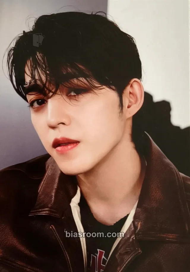 SEVENTEEN - S.Coups - Face the Sun Album pioneer version album inclusion postcard item set KiT/kihno version