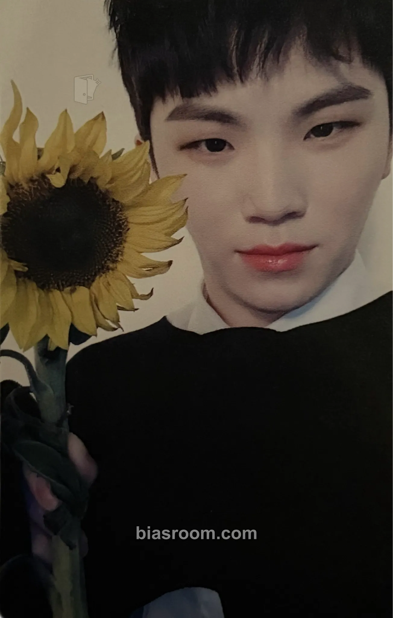 Woozi You Made My Dawn Photocard - SEVENTEEN - SEVENTEEN K-pop photocard