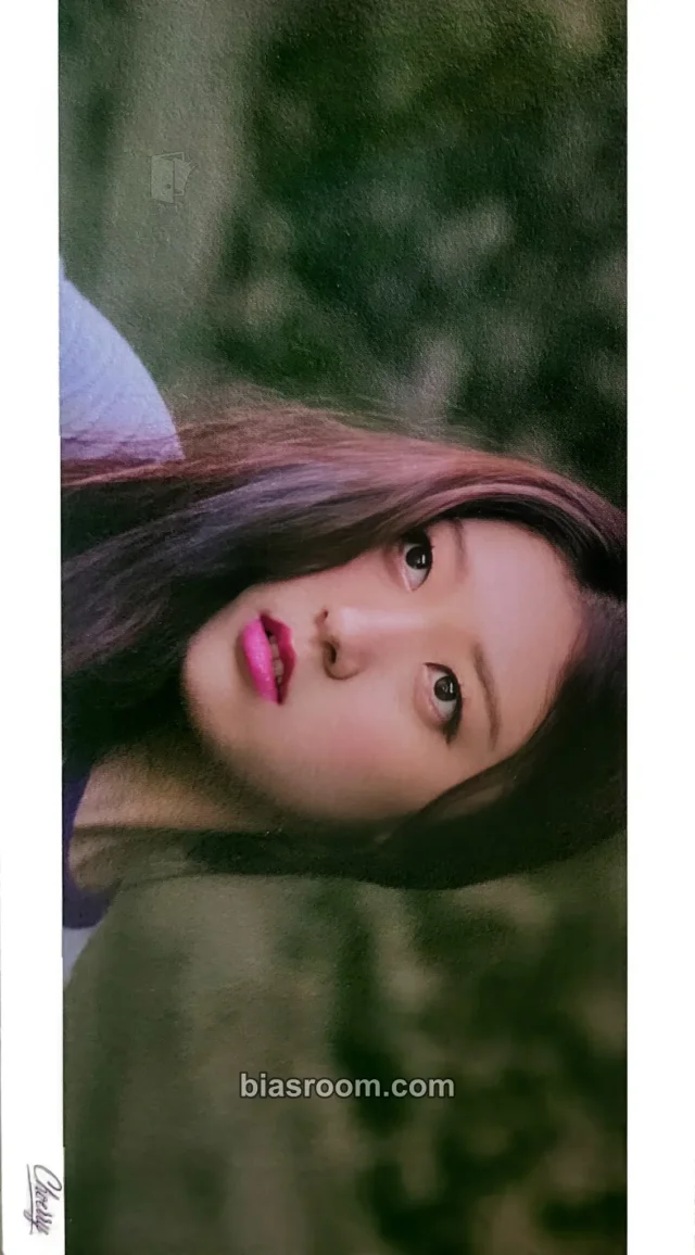 LOONA - Choerry - LOONA X Study Group Event postcard postcard book