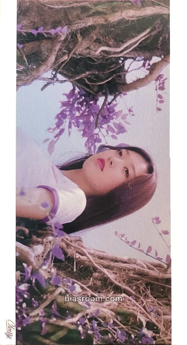 LOONA - Choerry - LOONA X Study Group Event postcard postcard book