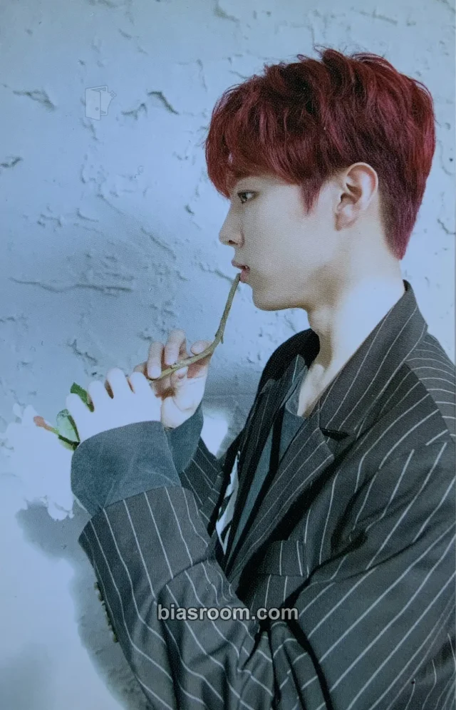 UP10TION - Wooseok - Invitation Album album photocard puzzle card