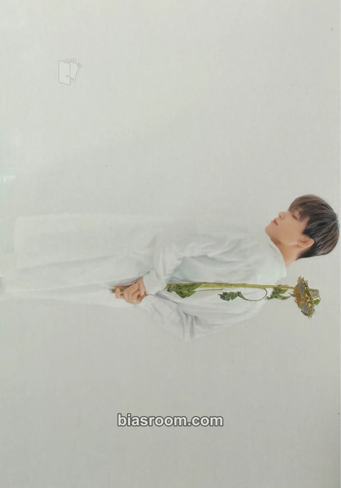 Dino You Made My Dawn Photocard - SEVENTEEN - SEVENTEEN K-pop photocard