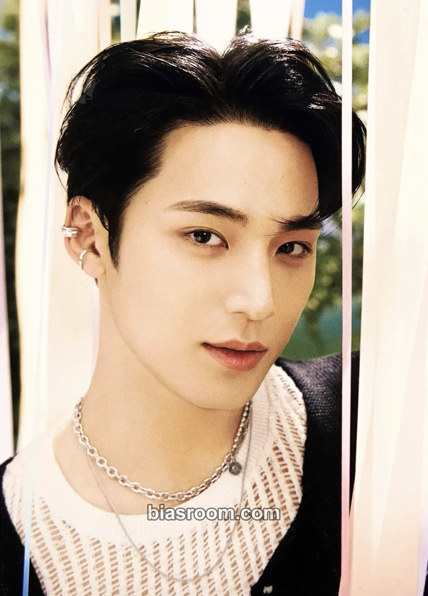 Mingyu Seventeenth Heaven Photocard - SEVENTEEN – SEVENTEEN K-Pop-Photocard
