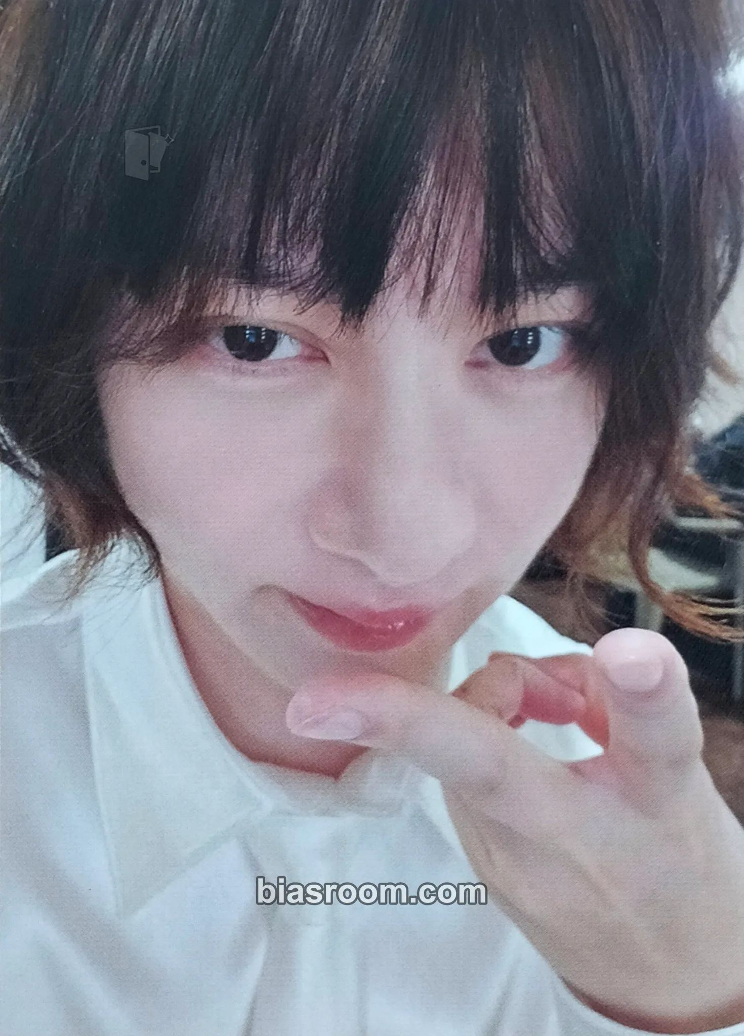 Heechul Blue World: 2024 SUPER JUNIOR Japan Special Event (Fanmeeting) Photocard - SUPER JUNIOR - SUPER JUNIOR K-pop photocard