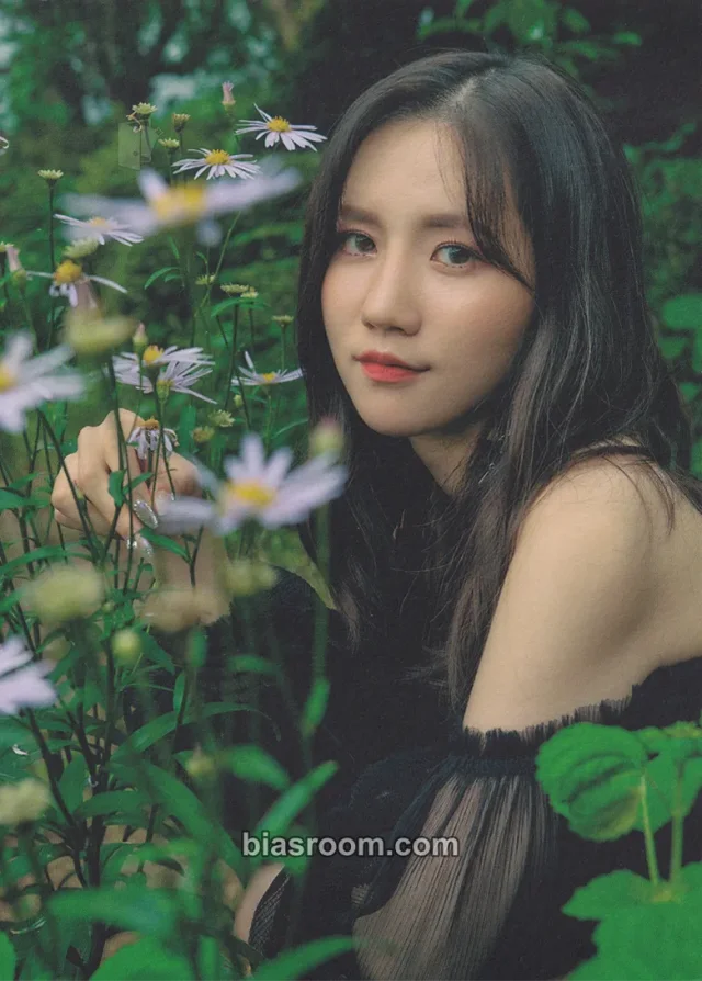Lovelyz - Jin - Deep Forest Event merch inclusion postcard item set
