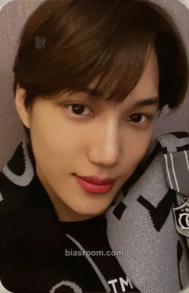 EXO - Kai - SMTown Live 2022: SMCU Express Event merch photocard emblem badge smtown kwangya