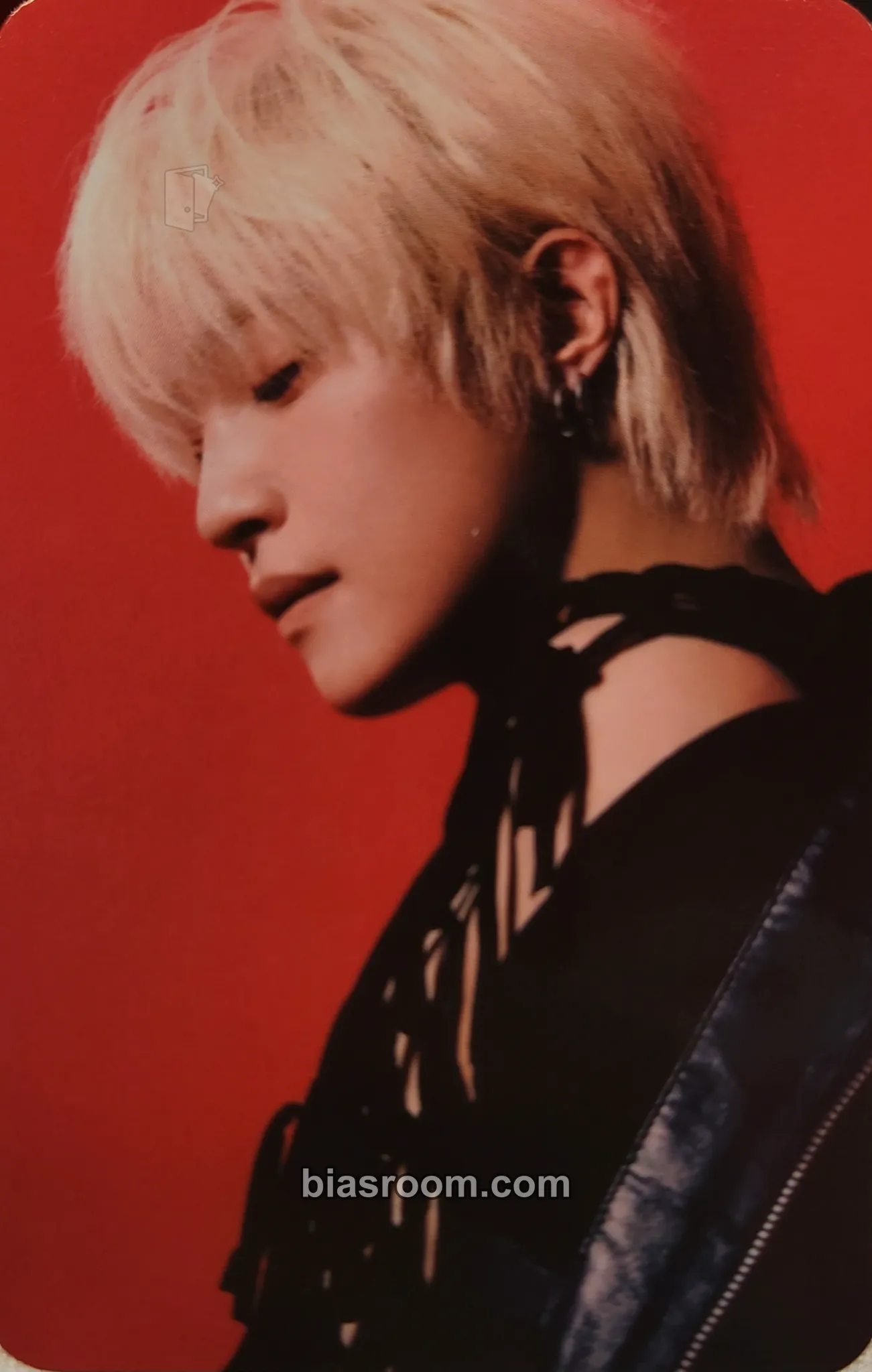 Yangyang WayV 2026 Concert Born This Way Photocard - WayV - WayV K-pop photocard