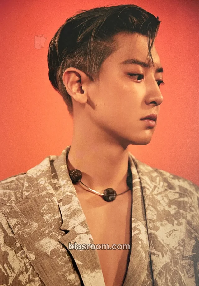 EXO - Chanyeol - Don't Fight the Feeling Album postcard album inclusion version 1