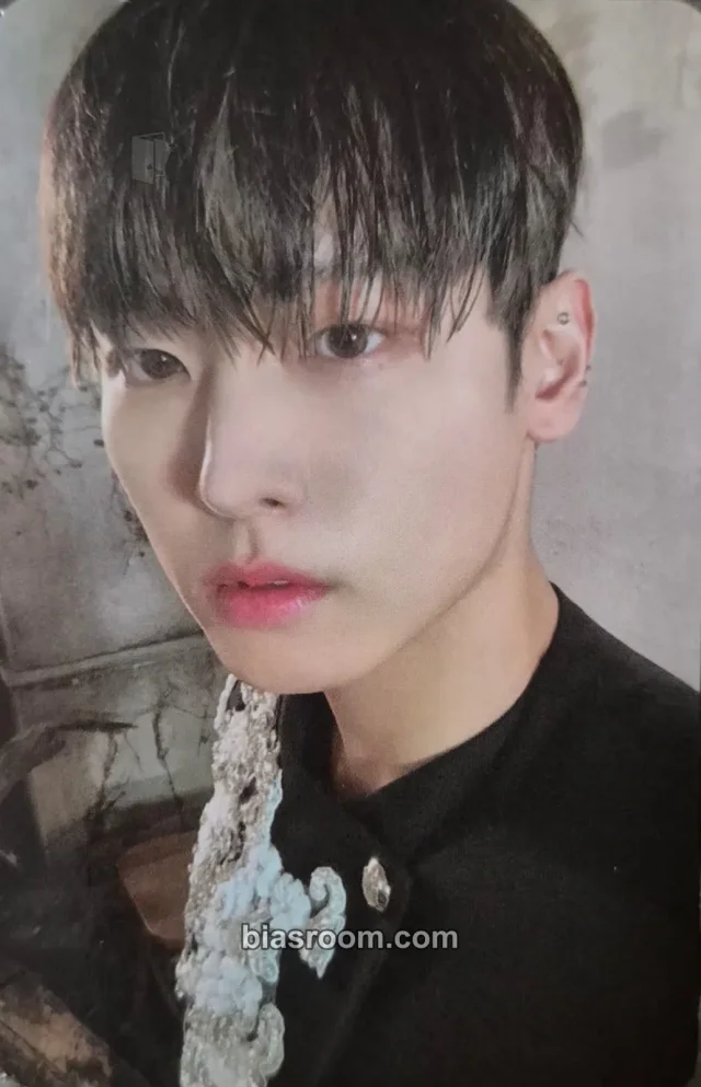 SF9 - Inseong - TURN OVER Album version 9 album photocard