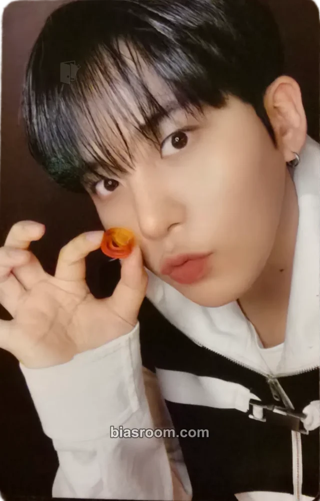 ATEEZ - Jongho - MIGHTEEZ Other doll/figure/plush merch inclusion fruit version