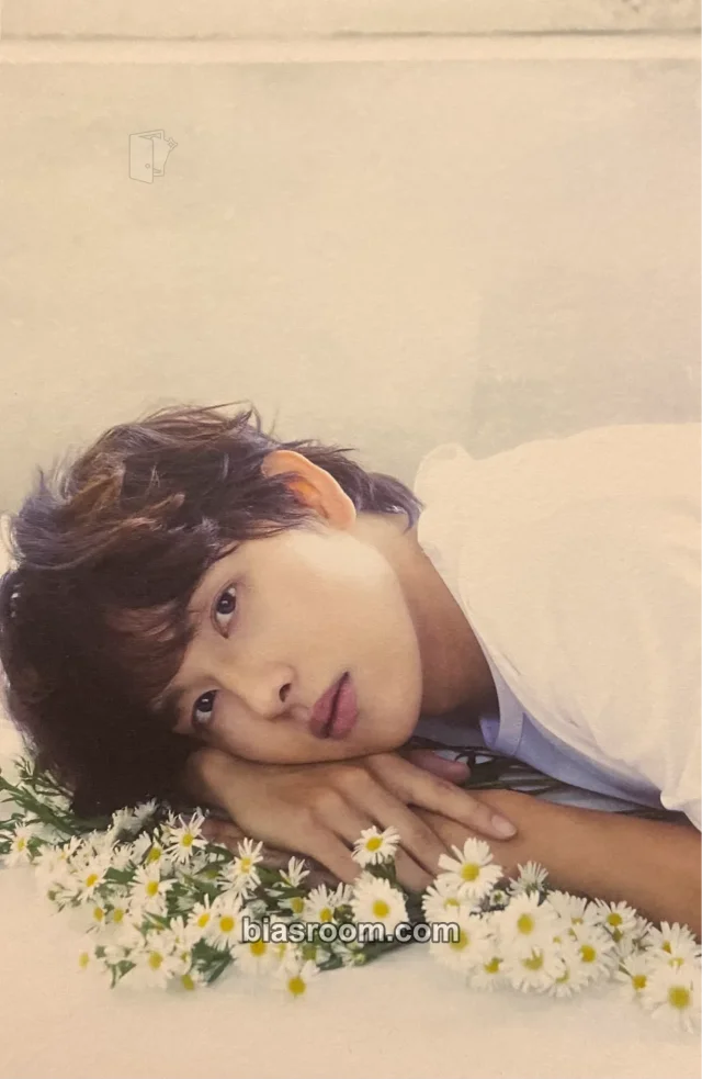 Yim Siwan - Siwan - 2023 Yim Siwan Fan Concert "WHY I AM in SEOUL" Event postcard merch pack
