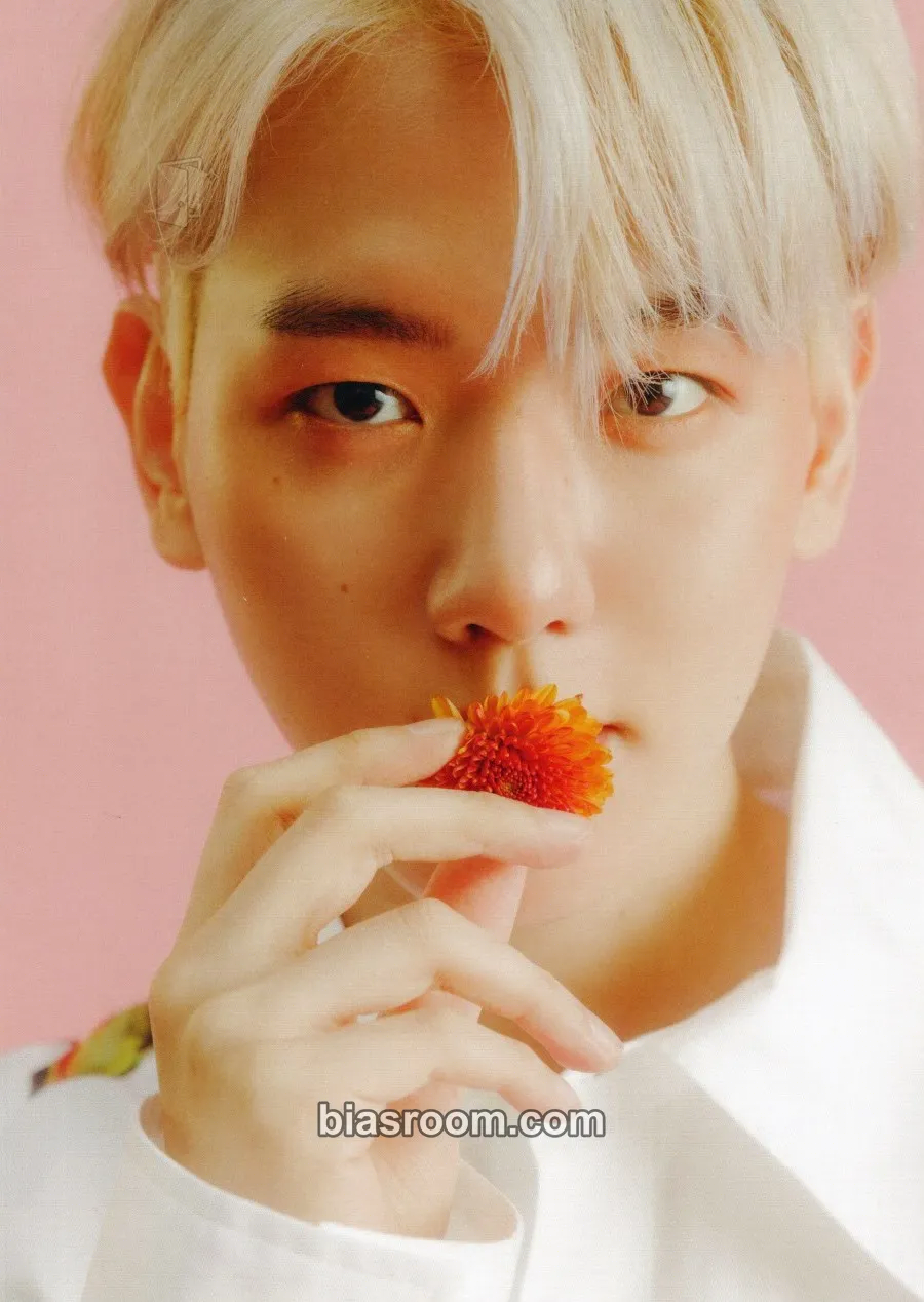 Baekhyun BAEKHYUN Photocard - EXO - EXO K-pop photocard
