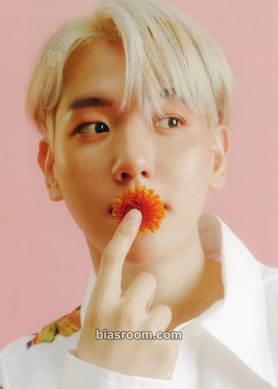 Baekhyun BAEKHYUN Photocard - EXO - EXO K-pop photocard