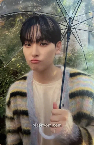 Inseong Sequence Photocard - SF9 - SF9 K-pop photocard