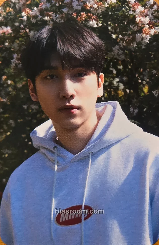 VIXX - Hyuk - Han Sang Hyuk 2021 Season’s Greetings [ORDINARY DAY] Other season's greetings photocard set concept card merch photocard