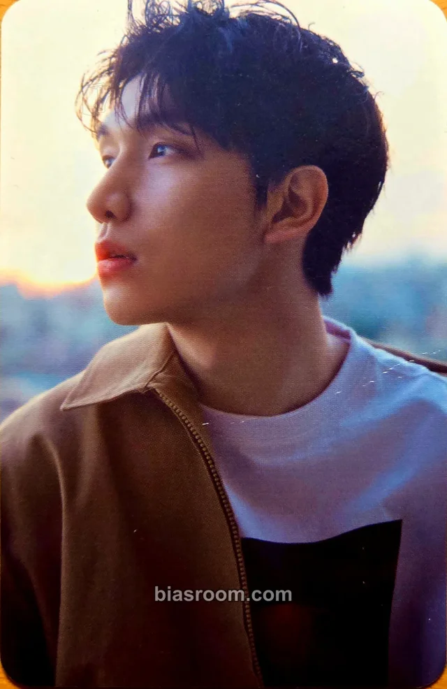 VIXX - Hyuk - Han Sang Hyuk 2021 Season’s Greetings [ORDINARY DAY] Other season's greetings photocard set concept card merch photocard