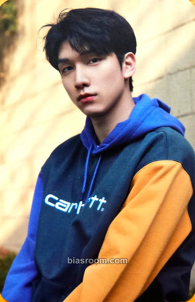 VIXX - Hyuk - Han Sang Hyuk 2021 Season’s Greetings [ORDINARY DAY] Other season's greetings photocard set concept card merch photocard