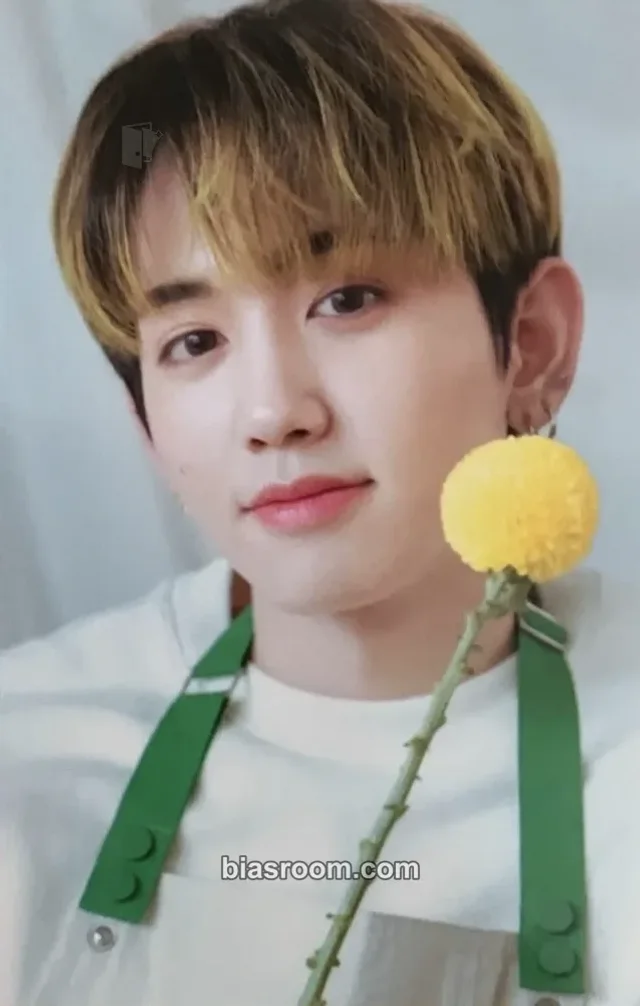 TREASURE - Mashiho - Blooming Treasure Other merch photocard collect book/binder