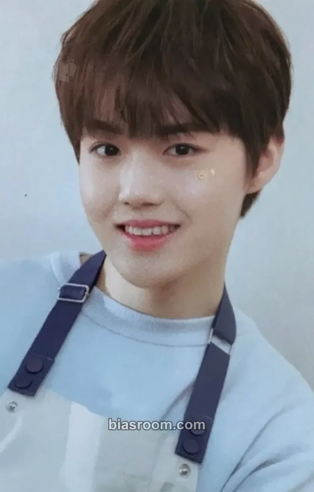 TREASURE - Doyoung - Blooming Treasure Other merch photocard collect book/binder