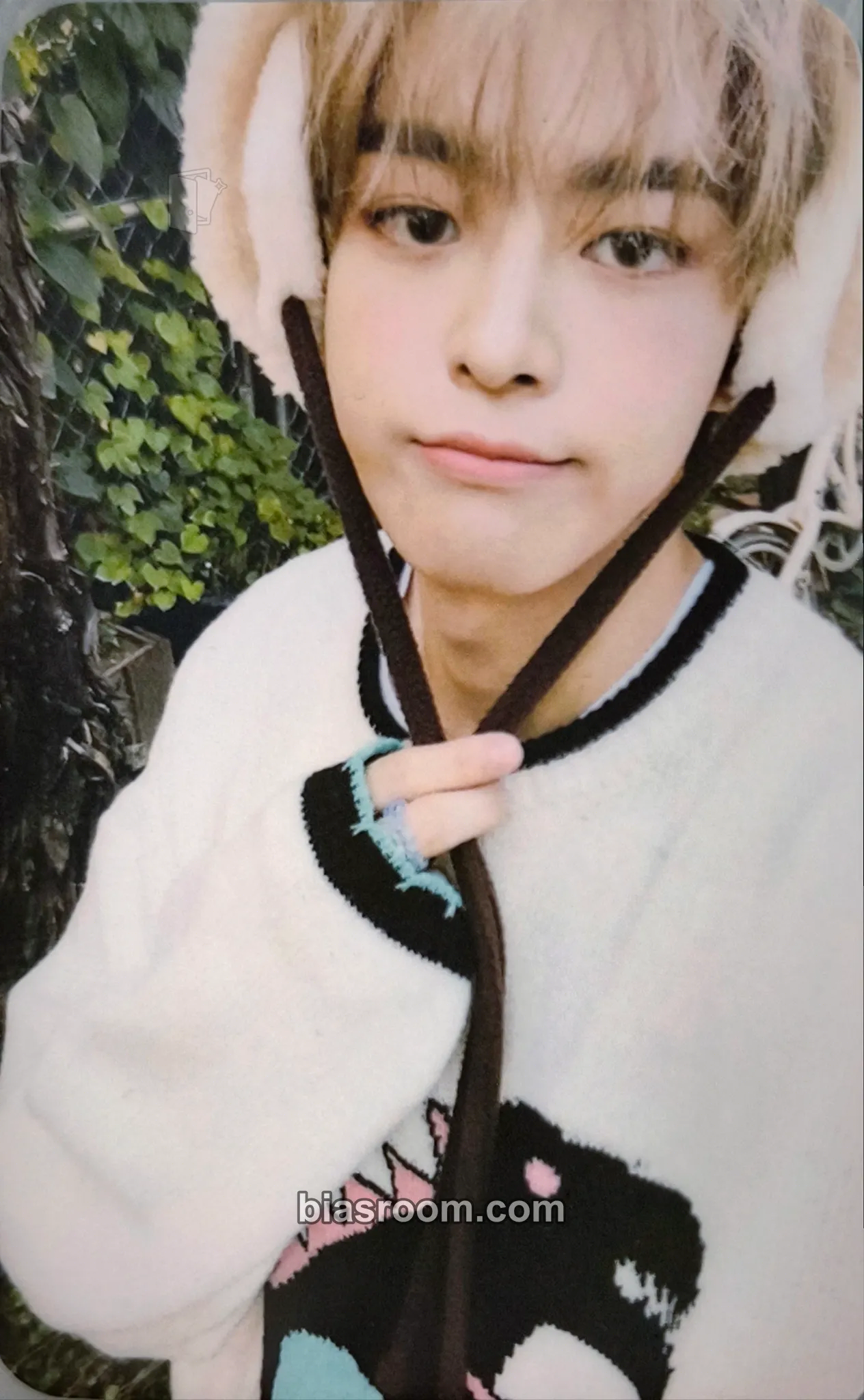 Subin VOICE: The Future Is Now Photocard - VICTON - VICTON K-pop photocard