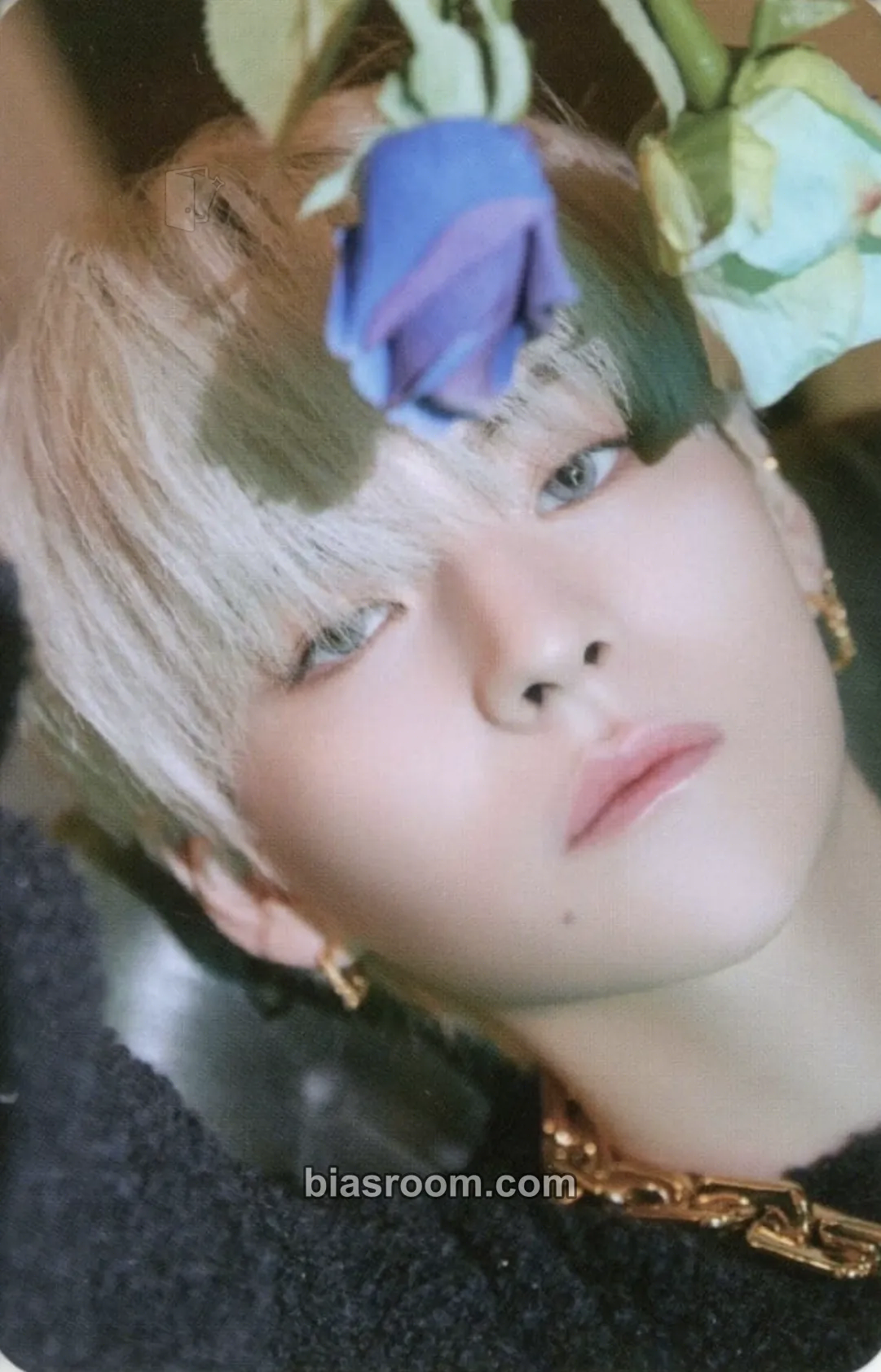 Yoshi Treasure in the Night Garden Photocard - TREASURE - TREASURE K-pop photocard