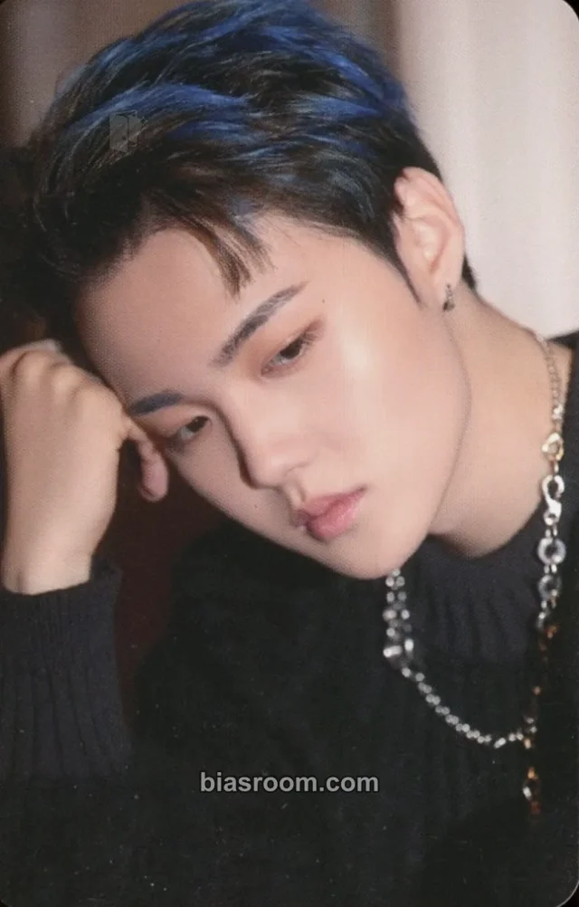 TREASURE - Doyoung - Treasure in the Night Garden Other merch photocard trading card B version round 1