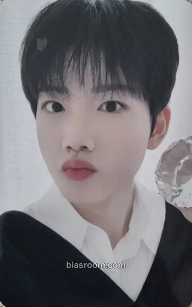 TREASURE - Junkyu - Treasure in the Night Garden Other pop-up yg select