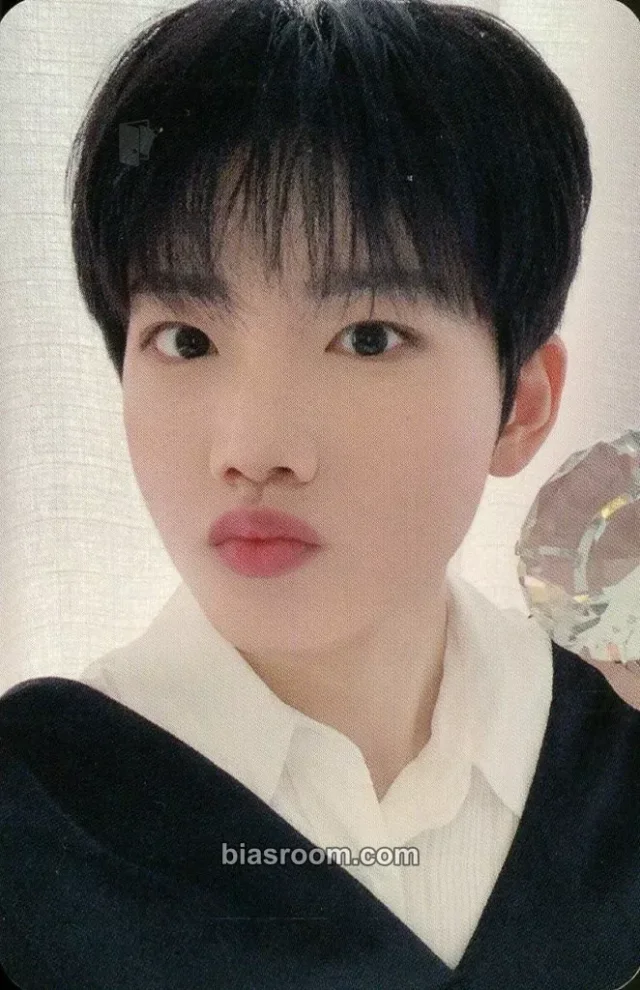 TREASURE - Junkyu - Treasure in the Night Garden Other pop-up yg select purchase benefit