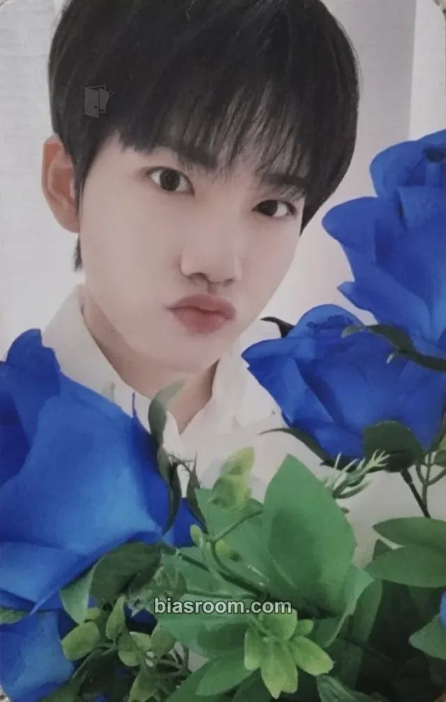 TREASURE - Junkyu - Treasure in the Night Garden Other merch photocard scrap book
