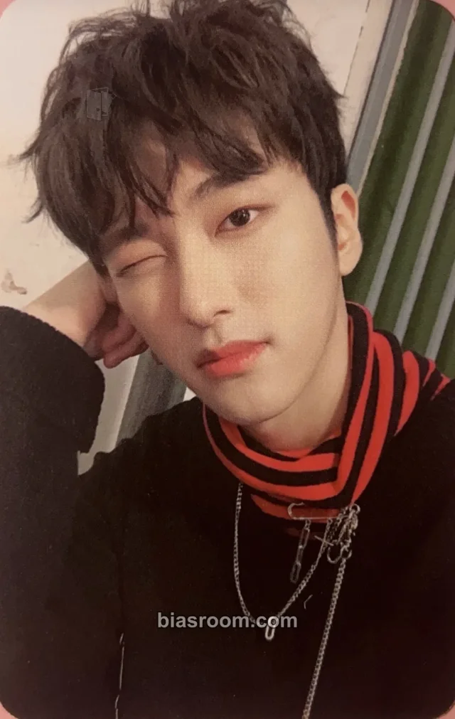 Snuper - Sebin - Swing Album album photocard