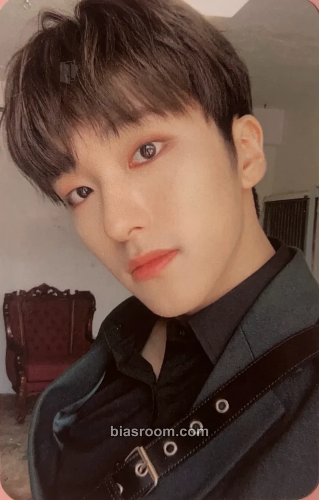 Snuper - Sebin - Swing Album album photocard