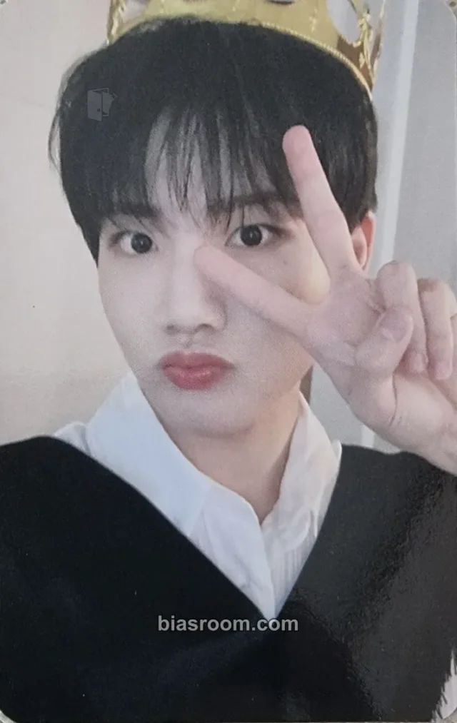 TREASURE - Junkyu - Treasure in the Night Garden Other merch photocard collect book/binder