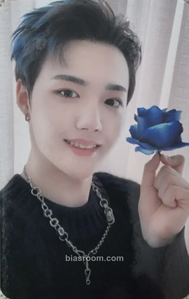 TREASURE - Doyoung - Treasure in the Night Garden Other merch photocard collect book/binder