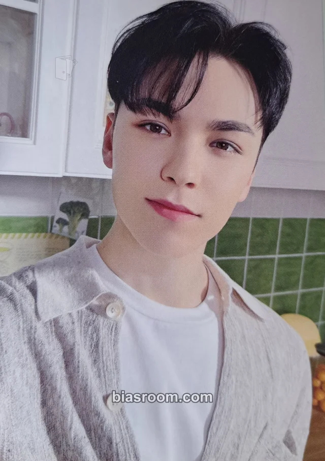 SEVENTEEN - Vernon - 2023 Seventeen's Home Merchandise Other japan merch photocard trading card selfie
