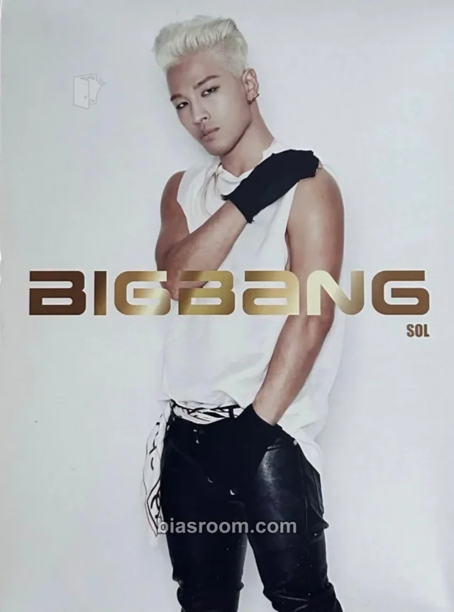 BIGBANG - Taeyang - The Best of BigBang 2006–2014 Album album inclusion postcard