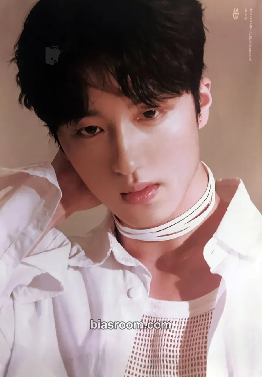 Chani Sensuous Photocard - SF9 - SF9 K-pop photocard