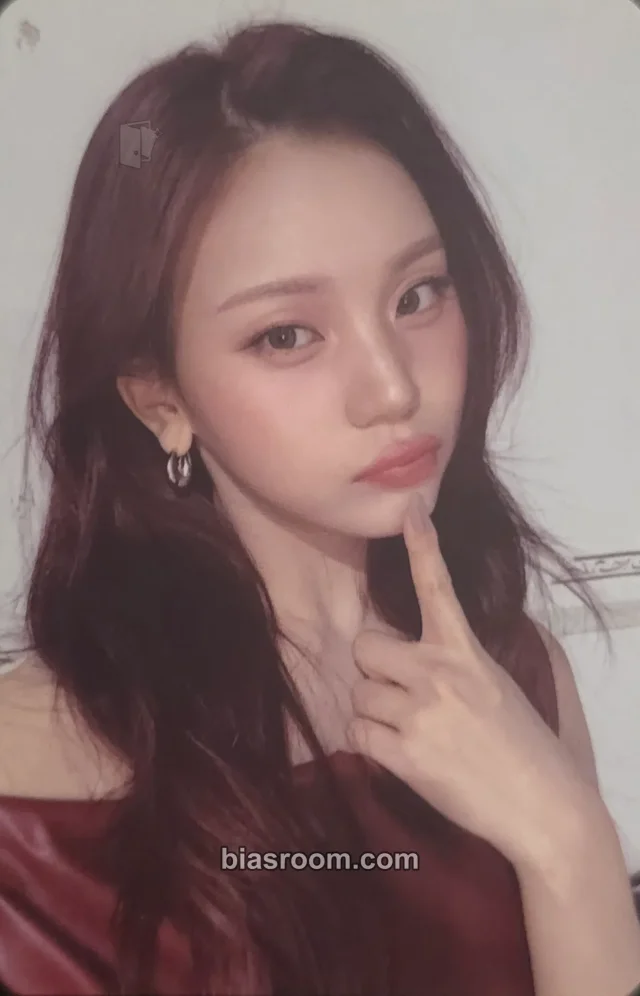 VIVIZ - Umji - New Legacy World Tour Event merch photocard phone wallet